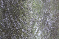 Nab Hill fibreglass roof work